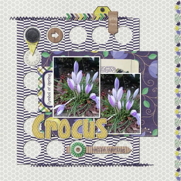 Crocus