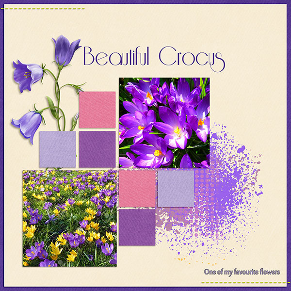 Crocus