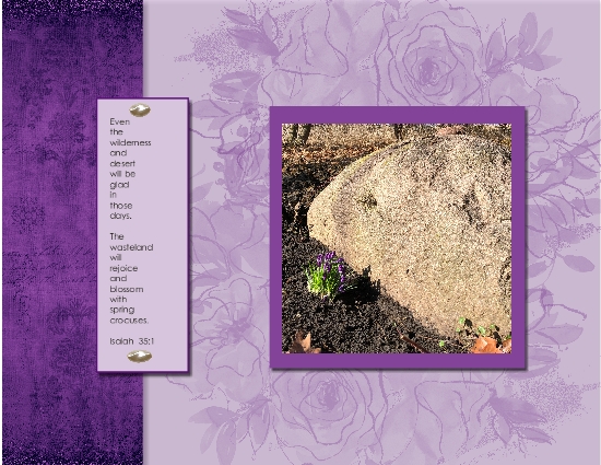Crocus
