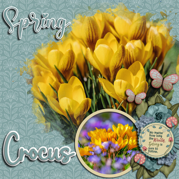 Crocus