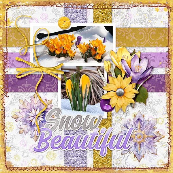 Crocus