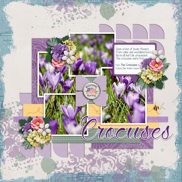 Crocuses