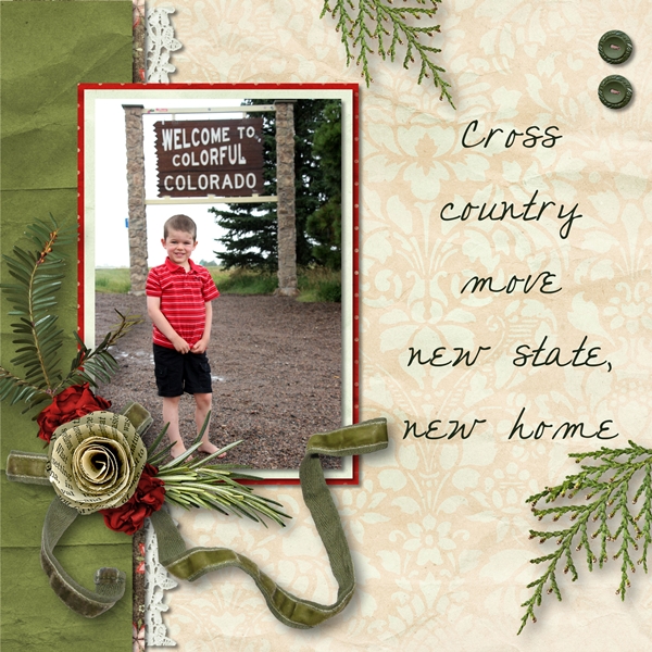 Cross COuntry Move to Colorado