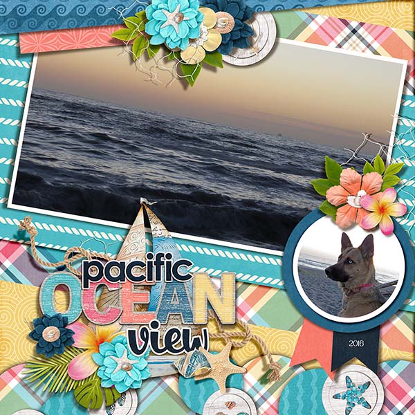 Cross Country Pacific Ocean