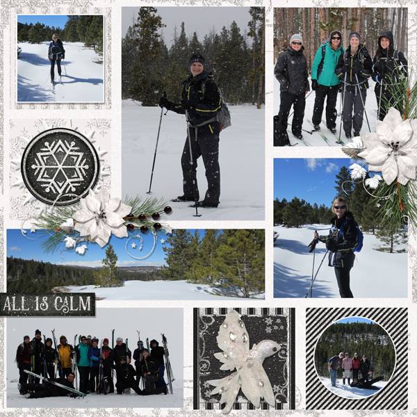 Cross Country Skiiing