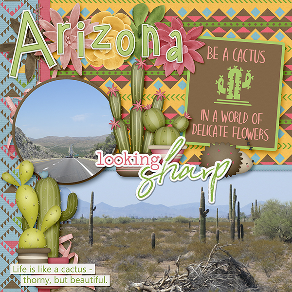 Cross Country trip - Arizona
