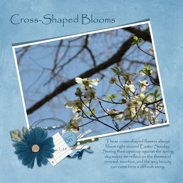 Cross-Shaped Blooms