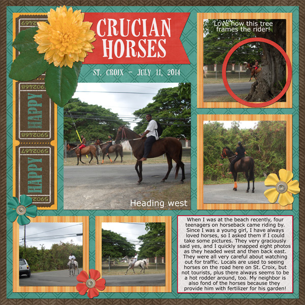 Crucian Horses
