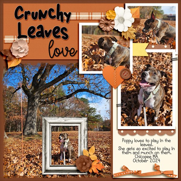 Crunchy-Leaves.jpg