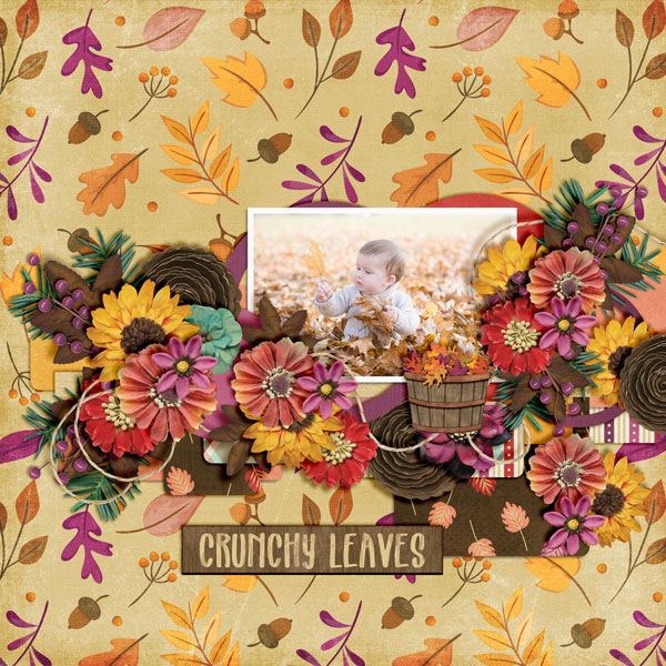 Crunchy-Leaves