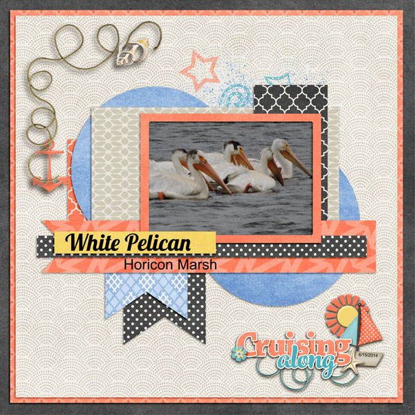 Cruzin Pelicans