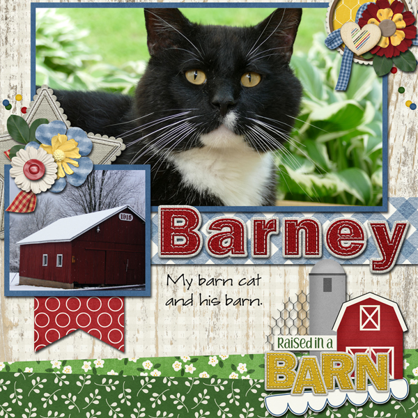CSIA-barney-web