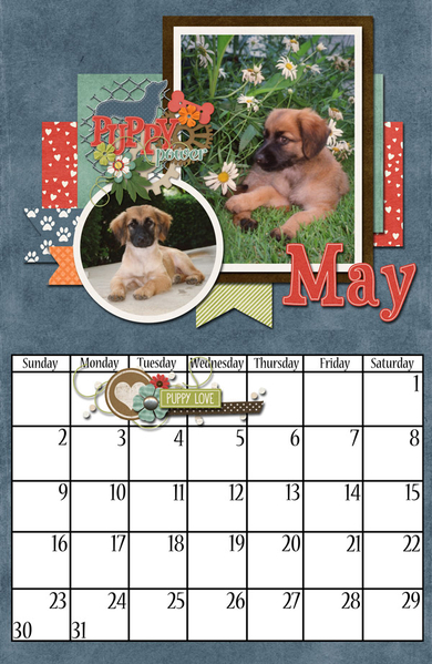 CSIA_DLcalendar