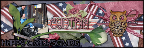 CSiggy4November