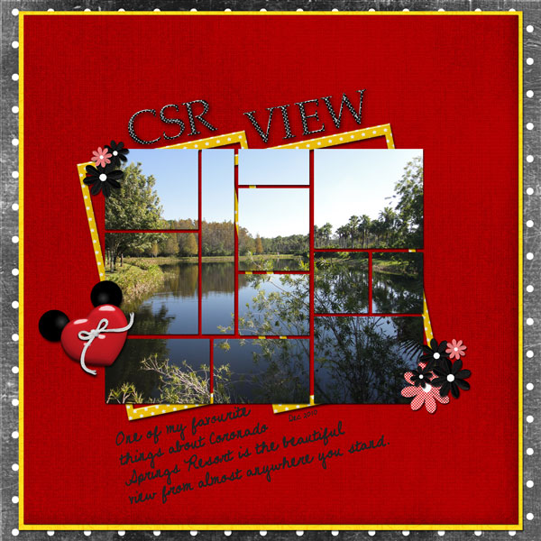 CSR-view