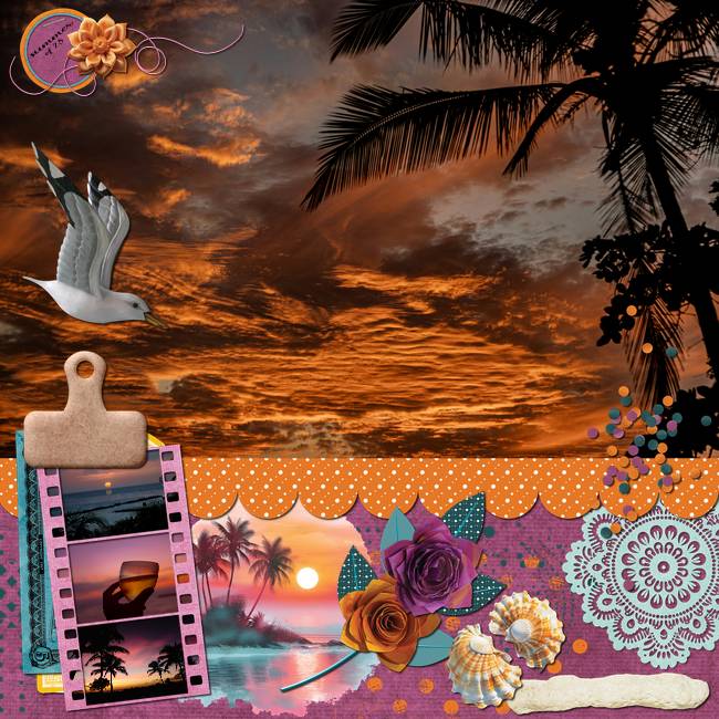 CT-TBC-TropicalS-02-PC-michaela-berndDittrich-hongwei-marlyMele.jpg