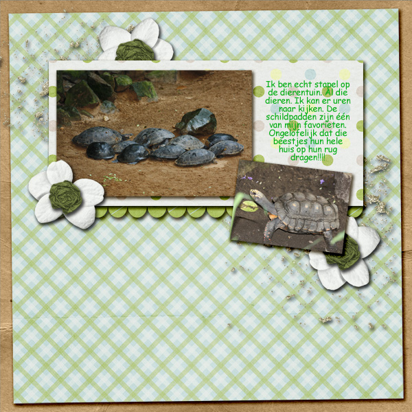 CT_41