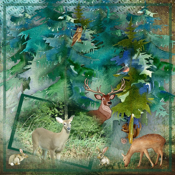 CT_JulieC_Designs_-_600_2