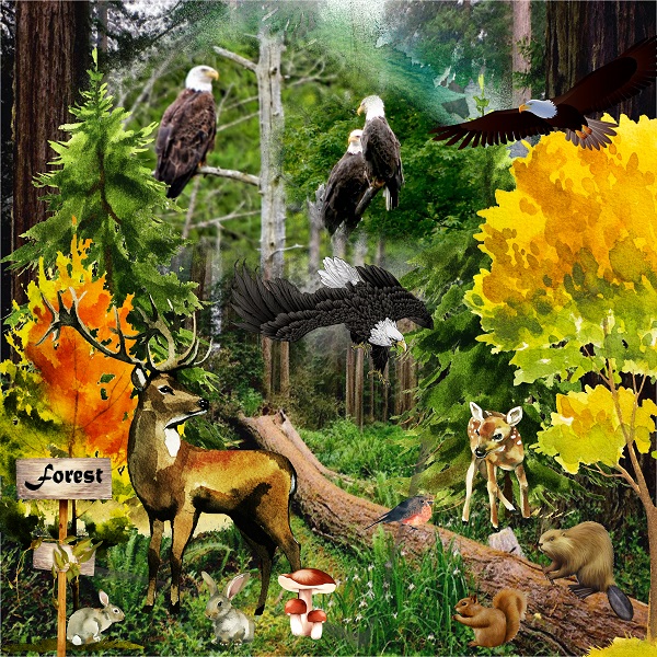 CT_JulieC_Designs_-_600_4