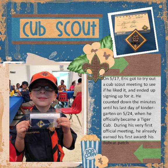 Cub Scout