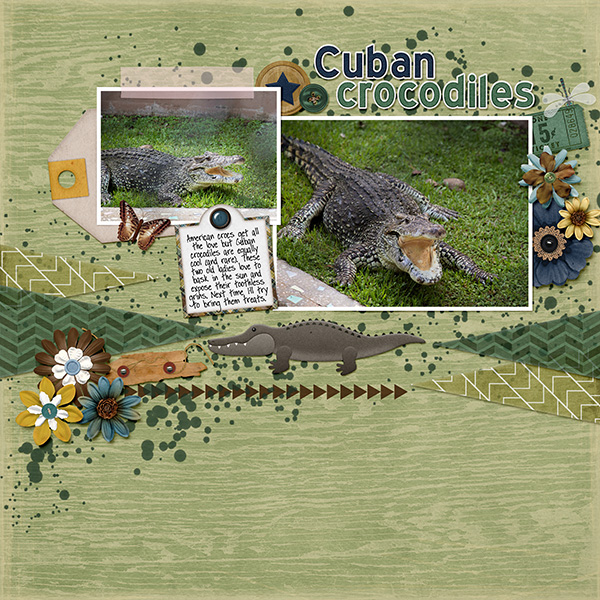 Cuban crocs