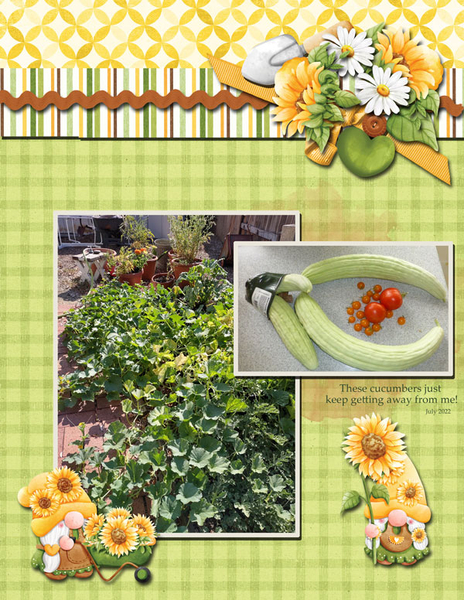 Cucumbers