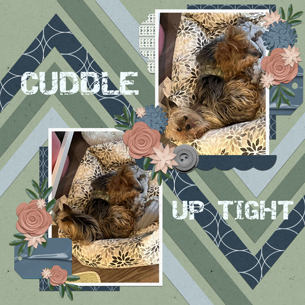 Cuddle Up Tight