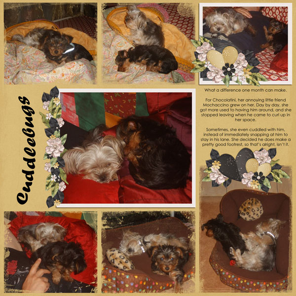 Cuddlebugs