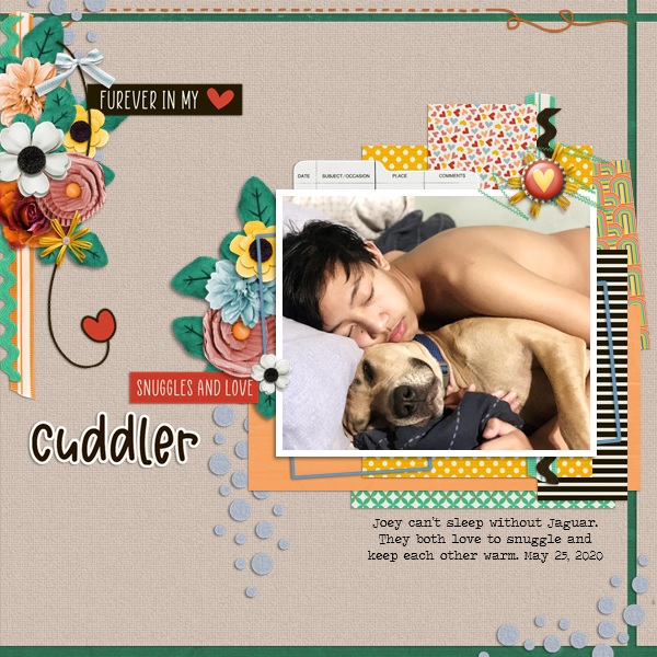 Cuddler