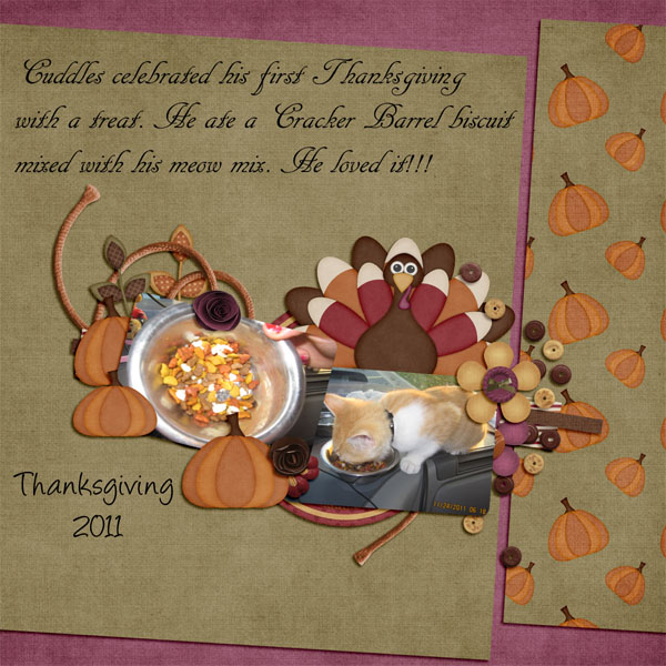 Cuddles 1st Thanksgiving