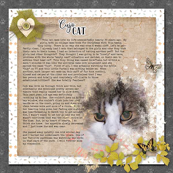 Cujo Cat