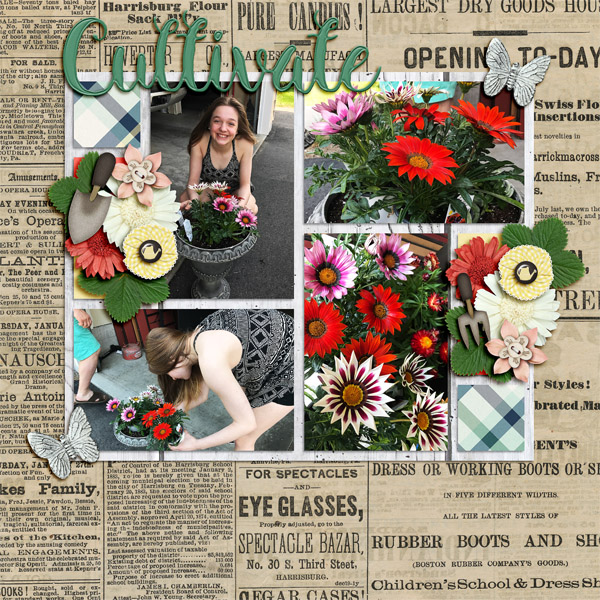 Cultivate
