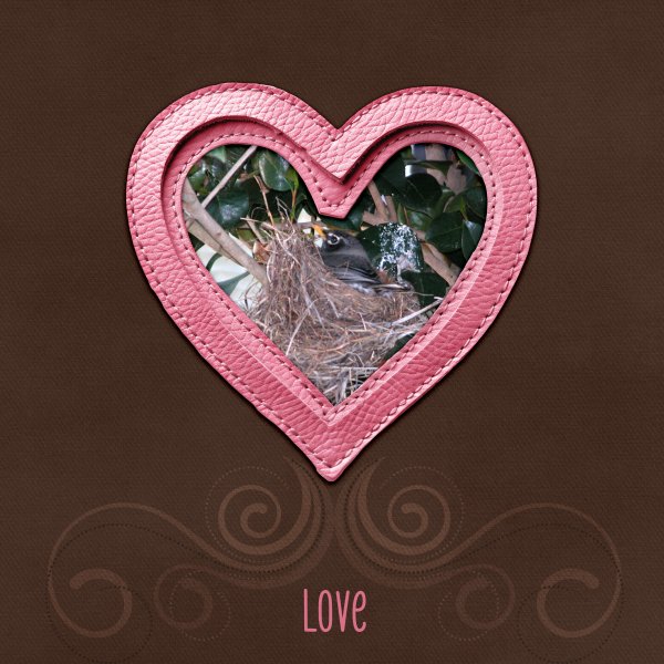 Cultivating Love