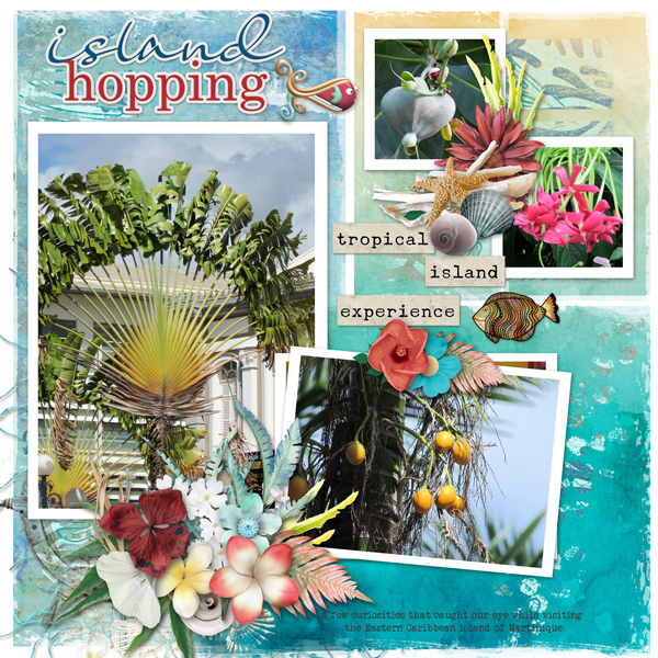 Curiosities of Martinique