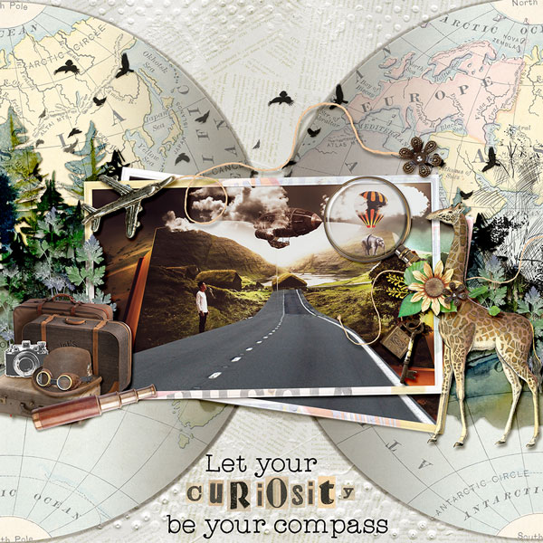 Curiosity is my Compass