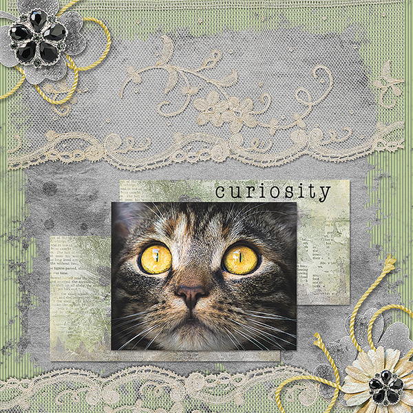 Curiosity