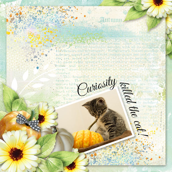 Curiosity