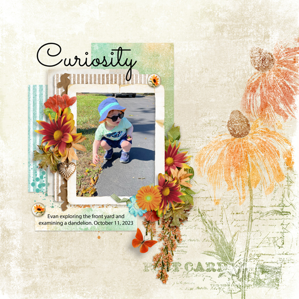 Curiosity