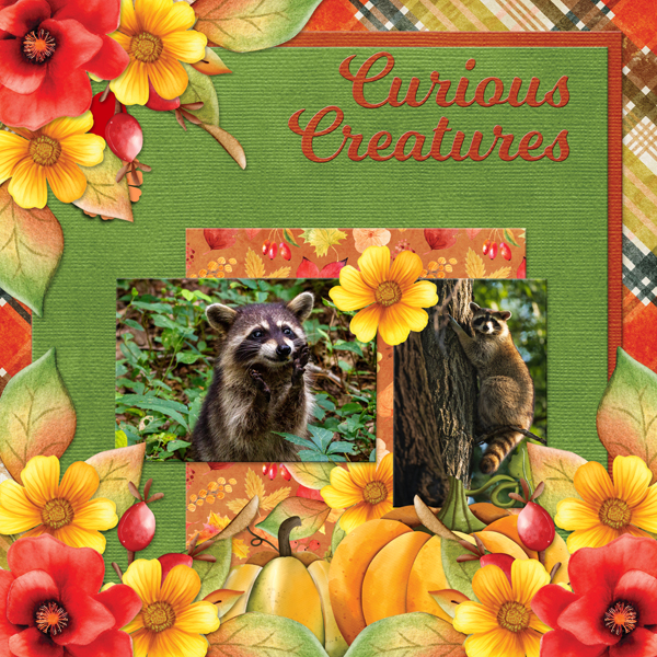 Curious Creatures