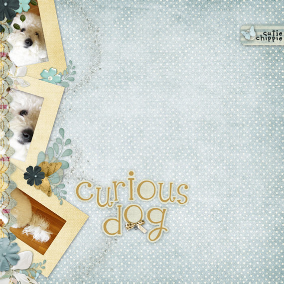 Curious Dog