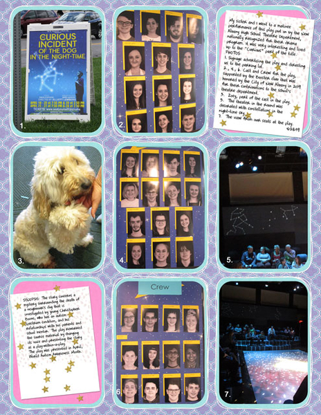 Curious Incident