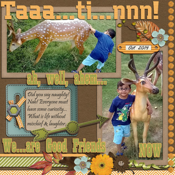 Curious Tatin