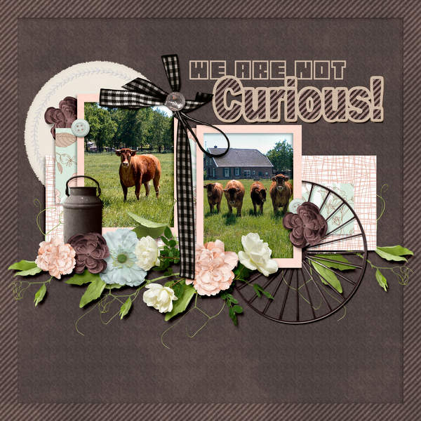 Curious