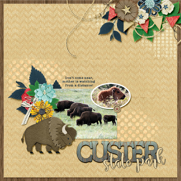 Custer State park
