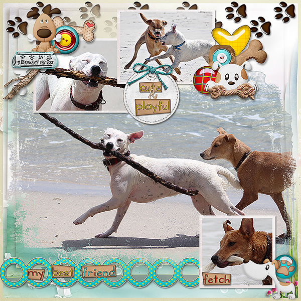 Cute And Playful