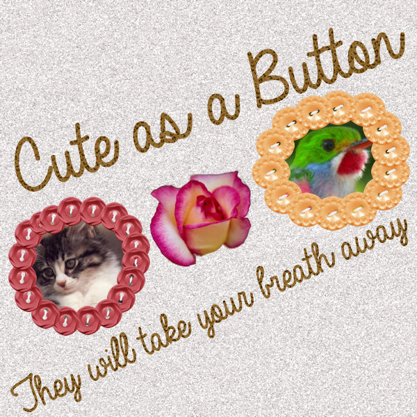 Cute as a button