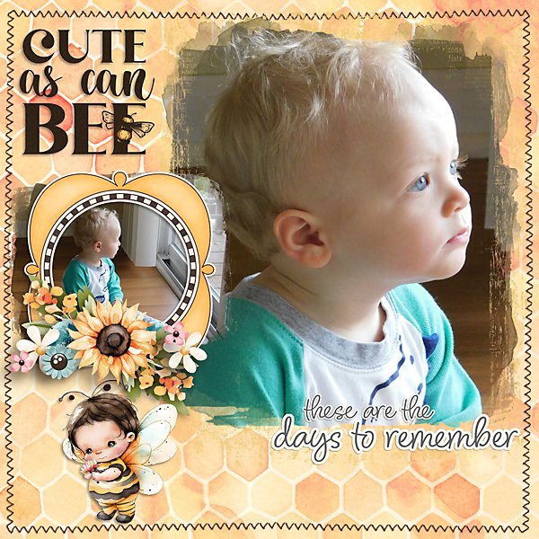 Cute-As-Can-Bee-web.jpg