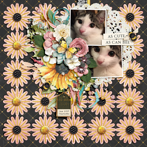 cute as can bee