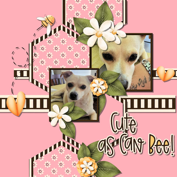 Cute As Can Bee