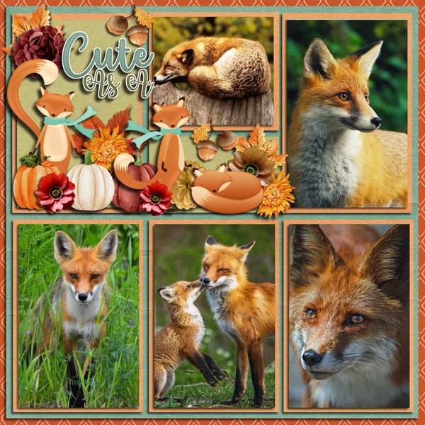 Cute As Foxes